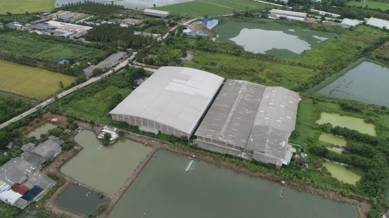 C3910 ขายโรงงานปั่นด้าย ทอผ้าพร้อมโกดัง เนื้อที่ 20 ไร่ พร้อม ใบอนุญาต รง.4 อำเภอกระทุ่มแบน สมุทรสาคร