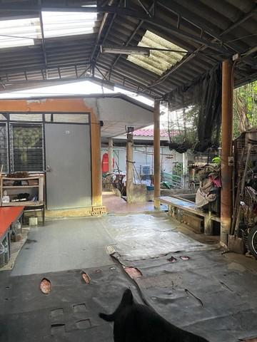 C3894 ขายที่ดินพร้อมบ้านชั้นเดียว เนื้อที่ 100 ตารางวา ซอยหทัยราษฎร์25 ใกล้บิ๊กซีสุวินทวงศ์