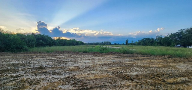 ที่ดินแบ่งขาย สันกำแพงเชียงใหม่ เหมาะทำบ้านสวน ใกล้เมืองและใกล้ธรรมชาติ เนื้อที่ 140.5 ตรว