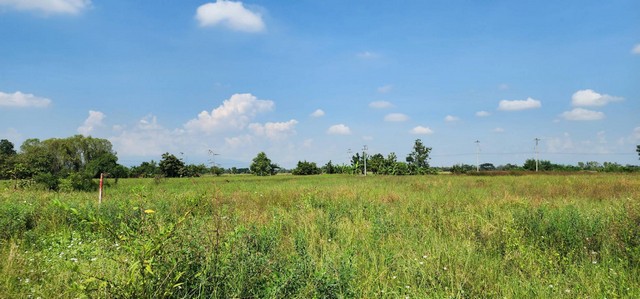 ที่ดินแบ่งขาย สันกำแพงเชียงใหม่ เหมาะทำบ้านสวน ใกล้เมืองและใกล้ธรรมชาติ เนื้อที่ 140.5 ตรว