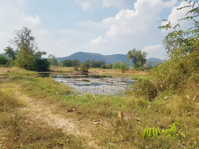 EHH ขายด่วน ถูก ที่ดิน กาญจนบุรี 1ไร่1งาน53ตรวา วิวเขาและน้ำ ใกล้อบต.หนองประดู่1กม