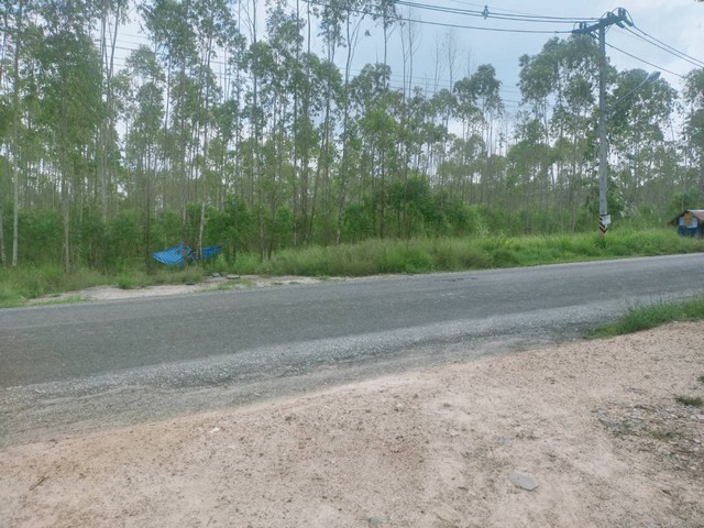 CK053ที่ดินสวยๆเมืองพัทยา ติดถนนสองด้าน ผังสีส้มเหมาะทำจัดสรร เขตห้วยใหญ่ บางละมุง จ.ชลบุรีที่ดินเป็นป่ายูคาลิปตัสเนื้อที่ 18-3-74 ไร่ราคาขาย ไร่ละ 5.8 ล้านบาทถ้วน (ฟรีโอน)ผังสีส้ม ที่ตั้ง อยู่ในซอยโลมา ต.ห้วยใหญ่ อ.บางละมุง จ.ชลบุรีหน้ากว้างติดถนนลาดยางสองด้านหน้ากว้าง ประมาณ 228 เมตรใกล้เมืองพัทยา 16 กม.เดินทางสะดวกสบาย เหมาะทำจัดสรร บ้าน อาคารต่างๆ ห้องพักห้องแถว