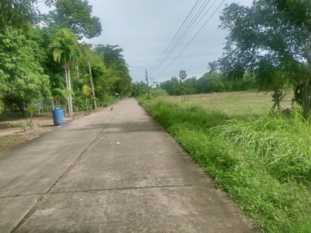 ขายที่ดินแบ่งขายใกล้อนุสาวรีย์สุนทรภู่ใกล้หาดแหลมแม่พิมพ์ติดหมู่บ้านบาหลี  อ.แกลง จ.ระยอง