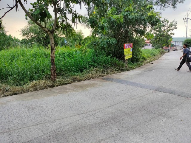 ขายที่ดินติดถนนรอบ เนื้อที่ 290 ตร.วา  ติดถนนโกรกกรากใน4- ซอยพัฒนา ต.บางหญ้าแพรก อ.เมือง จ.สมุทรสาคร  ZW293