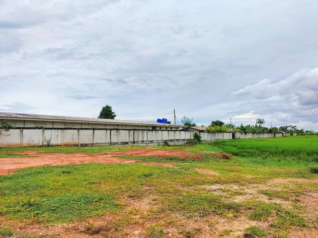 ขายที่ดินสวยติดถนน เนื้อที่ 4-3-42 ไร่ ถนนพระราม 2 ตัดเพชรเกษม อ.ปากท่อ จ.ราชบุรี   ZW297