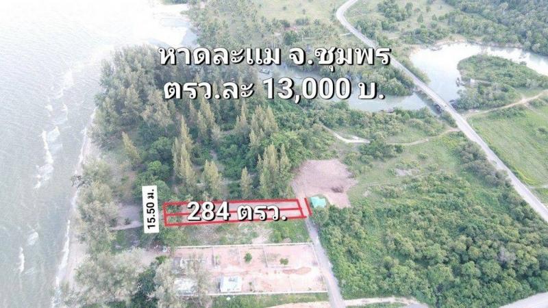 ขายที่ดินติดทะเลติดโครงการบ้านจัดสรรค์ ร้านอาหาร สร้างบ้าน เกร็งกำไรหาดละเเม อ.ละเเม จ.ชุมพร  284 ตารางวา ถูกสวยทำเลดี