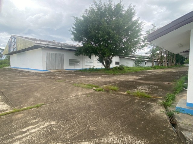 ขายโรงงาน         :                      แม่สอด ตาก