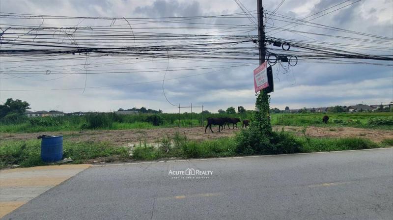 ขายที่ดินคลอง 9 ติดถนนรังสิต-นครนายก เนื้อที่ 10 ไร่ครึ่ง ย่านหมู่บ้านจัดสรร