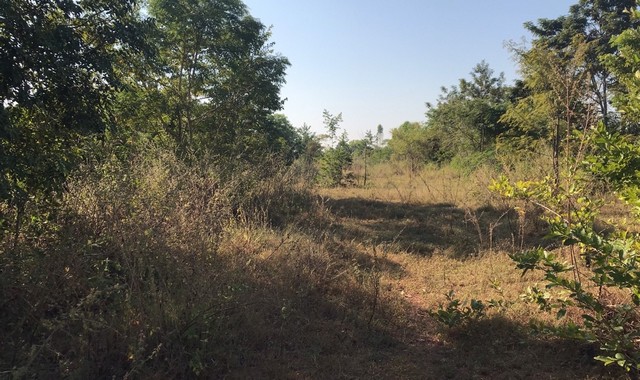 ขายบ้านเดี่ยว   อำเภอหนองหาน อุดรธานี (PKK02-12362)