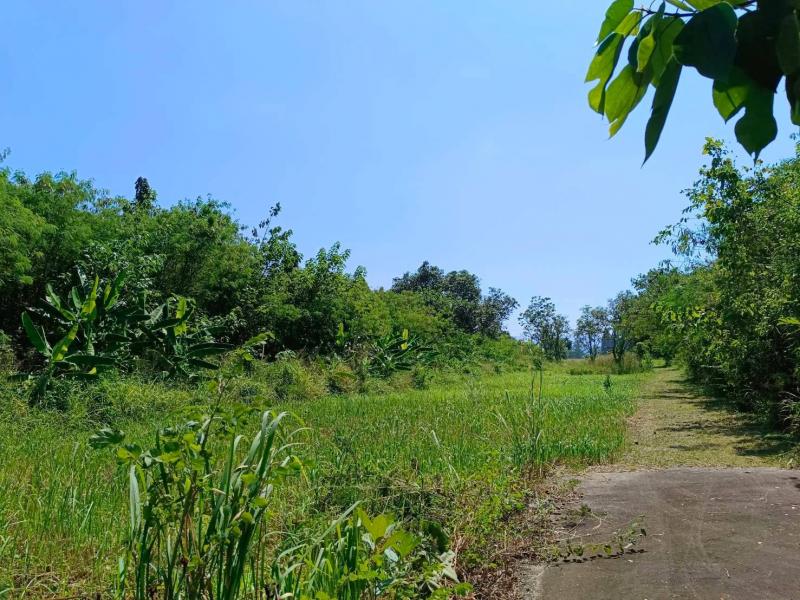 ขายที่ดิน 18-0-22 ไร่ พร้อมบ้านพักตากอากาศ ปากช่อง-เขาใหญ่