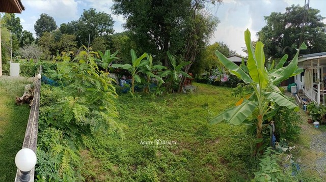 ขายที่ดินถมแล้ว อ.สันทราย จ.เชียงใหม่ ขนาด 99 ตร.ว.