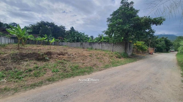 ขายที่ดินหลังมหาวิทยาลัยเชียงใหม่ ต.สุเทพ อ.เมืองเชียงใหม่ จ.เชียงใหม่ จากถนนคันคลองชลประทานเพียง 300 เมตร ขนาด 122 ตร.ว. ที่ดินหน้ากว้าง 16 ม. ลึก 30 เมตร การเดินทางสะดวกสบาย เข้า-ออกได้หลายเส้นทาง เหมาะสำหรับทำหอพัก อพาร์ทเม้นท์ คอนโด ร้านอาหาร ร้านกาแฟ หรือสร้างบ้านพักอาศัย เดินทางไปมหาวิทยาลัยเชียงใหม่เพียง 5 กม. ใกล้นิมมาน ตลาดต้นพยอม และร้านอาหารชั้นนำหลายแ�