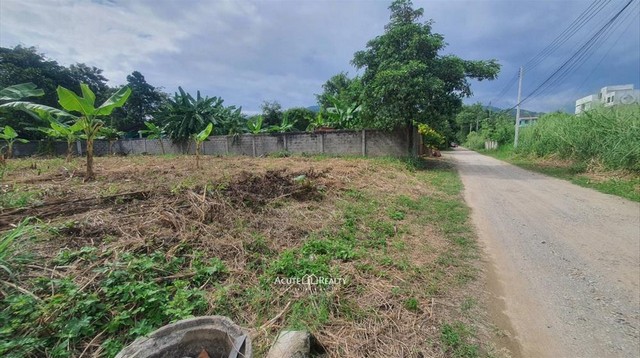 ขายที่ดินหลังมหาวิทยาลัยเชียงใหม่  ขนาด 122 ตร.ว.