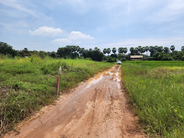 ด่วนขายที่ดินถมแล้ว 1 ไร่ ใกล้ มข.(มหาลัยขอนแก่น ) อ.เมืองขอนแก่น จ.ขอนแก่น