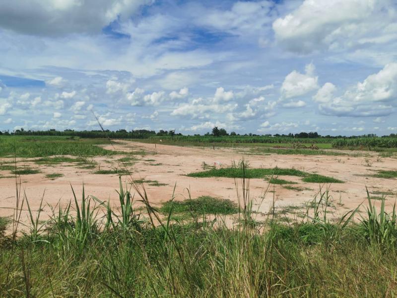 ขายถูก ที่ดินแปลงสวย 34 ไร่ 80 ตรว. ตำบลหนองราชวัตร อำเภอหนองหญ้าไซ จังหวัดสุพรรณบุรี