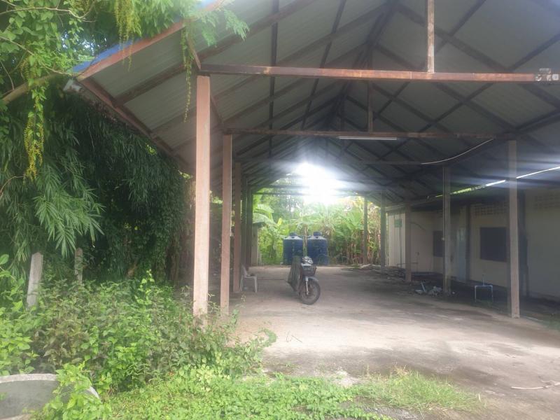 ขายถูก ที่ดินพร้อมสิ่งปลูกสร้าง ติดถนนเส้นหลัก ตำบลหนองช้าง อำเภอสามชัย จังหวัดกาฬสินธุ์