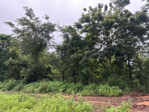  List-M7923ที่ดินเปล่า ขนาด 145 ตรว. อยู่ในอำเภอเมืองอุดรธานี  ตำบลหนองนาคำพื้นที่สี่เหลี่ยม เหมาะกับการสร้างที่อยู่อาศัยเข้า-ออก ได้หลายทาง ซอยร่มเกล้า 10,ซอยบ้านทุ่ง ****  ราคาถูกมาก 490,000 บาท **** สนใจสอบถามเพิ่มเติม นัดดูสถานที่ติดต่อ : คุณวันวิสาข์ (สา)* นัดชมแจ้งล่วงหน้า 1วันTel. 095-083-6564Line Id : Sa_narakRealty One Estate (Thailand) Co.,Ltd.(ในสังกัดสมาคมนายหน้าอสังหาริมทรัพย์ไทย)เรียลตี้วัน ศูนย์บริการรับฝา