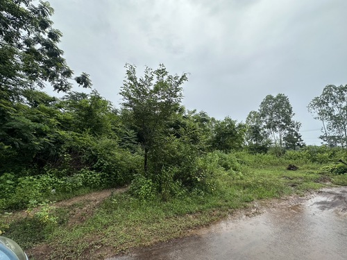 ขายที่ดินเปล่า 145 ตรว. ราคาถูก ตำบลหนองนาคำ อำเภอเมืองอุดรธานี