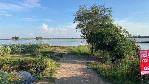 ขายที่ดินแปลงใหญ่ (ที่นา)ตำบลหนองเต่า อำเภอเก้าเลี้ยว จังหวัดนครสวรรค์