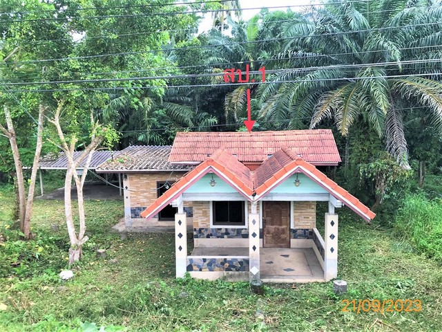   รายละเอียดเพิ่มเติม Code ID : PKK02-10839  ราคาขาย 934,000  บาท- ขนาดพื้นที่ :   224.40 ตร.ว.- พื้นที่ใช้สอย :   149.50 ตร.ม.- จำนวนห้อง :  2 ห้องนอน 2 ห้องน้ำ - ที่จอดรถ :   2    คัน- บ้านหันทางทิศ : ตะวันออกเฉียงเหนือ พิกัดทรัพย์ : https://maps.app.goo.gl/B2hdUjahSdVA2rU99    สถานที่ใกล้เคียง- ใกล้ซุปเปอร์มาเก็ตเก้าเเต้ม - ใกล้โลตัส เอ็กซ์เพรส เวียงสระ - ใกล้แม็คโคร เวียงสระ- ใกล้โลตัส เวียงสระ สอบถามเพิ่มเติม/นัดชมโทร. 097-419-5982(พลอย)โทร. 096-932