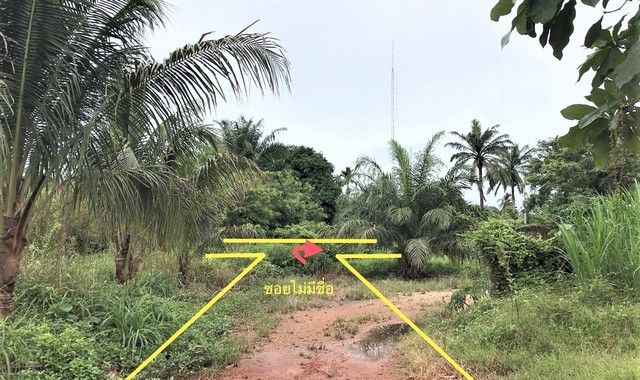 ขายที่ดินว่างเปล่า ซุปเปอร์ชีป บางสวรรค์ อำเภอพระแสง จังหวัดสุราษฎร์ธานี PKK01-10724