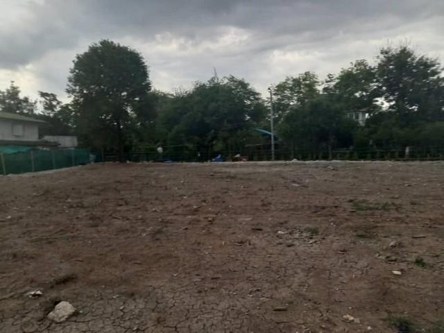 C3927 ขายที่ดินเนื้อที่  387 ตารางวา สายไหมซอย 6 ถนนพหลโยธิน 54/1 แปลงมุม ใกล้สนามบินดอนเมือง ใกล้รถไฟฟ้าเนื้อที่ 387 ตารางวา  หน้ากว้างประมาณ 30 ลึกประมาณ 43 เมตรสนใจนัดชมติดต่อ รหัสประกาศC3927คุณเฟลม  0638956397ID line : 0638956397: https://line.me/ti/p/LTVhEi9gAFC3927 ขายที่ดินเนื้อที่  387 ตารางวา สายไหมซอย 6 ถนนพหลโยธิน 54/1 แปลงมุม ใกล้สนามบินดอนเมือง ใกล้รถไฟฟ้าหน้ากว้างประมาณ 30 ลึกประมาณ 43 เมตรใกล้สนามบินดอนเมือง ใ