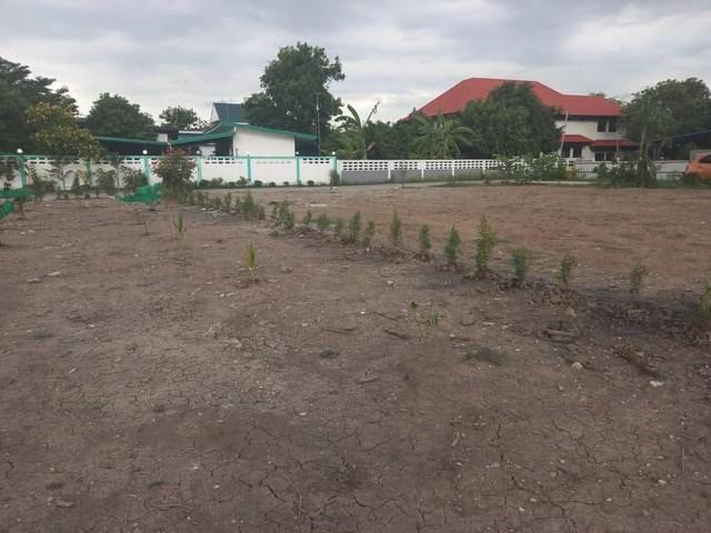 C3927 ขายที่ดินเนื้อที่  387 ตารางวา สายไหมซอย 6 ถนนพหลโยธิน 54/1 แปลงมุม ใกล้สนามบินดอนเมือง ใกล้รถไฟฟ้า