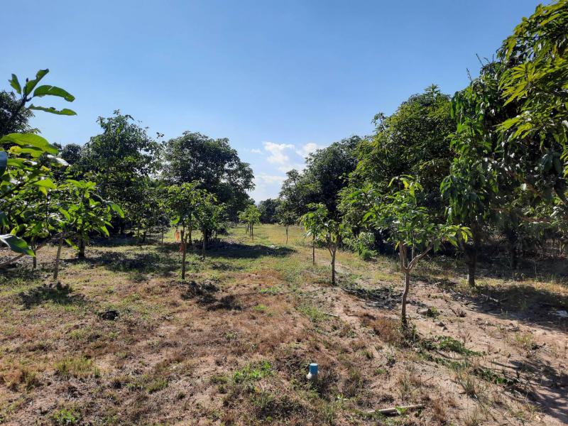 H0015 ขายที่ดินราคาถูกเกือบ 4 ไร่ ริมถนนดำ ใกล้โรงเรียนวัดสันเหมือง ใกล้ตลาดนัดบ้านเวียงเนื้อที่ 3-3-52 ไร่ หน้ากว้างประมาณ 25 เมตร ลึกประมาณ 269 เมตรสนใจนัดชมติดต่อคุณเฟลม 0638956397ID line : 0638956397H0015 ขายที่ดินราคาถูกเกือบ 4 ไร่ ริมถนนดำ ใกล้โรงเรียนวัดสันเหมือง ใกล้ตลาดนัดบ้านเวียงภายในปลูกต้นลำไยประมาณ 200 ต้น ริมถนนดำ ทำเลดีสนใจนัดดูก่อนได้ครับราคาขาย 2,300,000 บาท พิกัด https://goo.gl/maps/9UZoTZg4EQ3zh