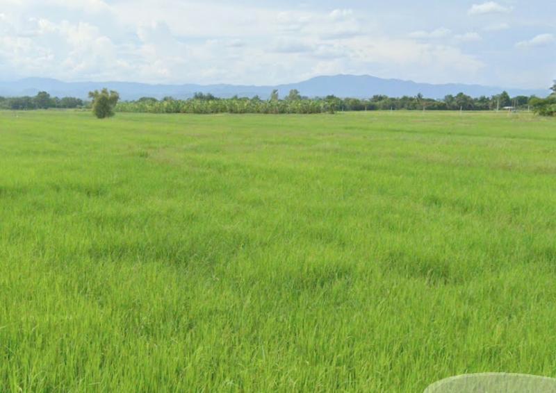 H0018 ขายที่นาเนื้อที่ 3 ไร่ แปลงสวย ตำบลหนองยวง อำเภอเวียงหนองล่อง ลำพูน ใกล้โรงเรียนบ้านเหล่าดูุ่