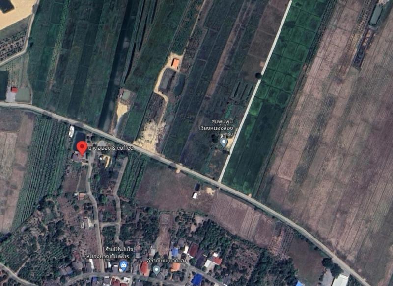 H0018 ขายที่นาเนื้อที่ 3 ไร่ แปลงสวย ตำบลหนองยวง อำเภอเวียงหนองล่อง ลำพูน ใกล้โรงเรียนบ้านเหล่าดูุ่