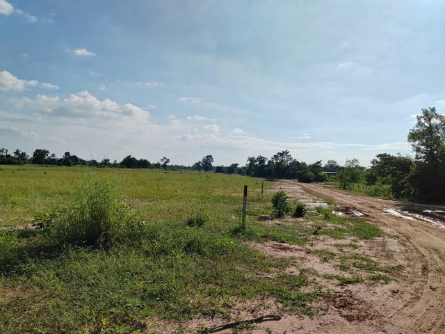 ขายด่วนที่ดินทำเลทอง  28-3-68 ไร่ ติดถนน 3 ด้าน ถมที่แล้ว   ZE568