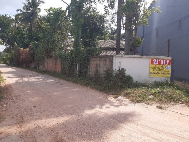 ขายที่ดินพร้อมโกดัง 3-3-83 ไร่  ตรงข้าม ธกส.วังสามหมอ จ.อุดรธานี  ZE553