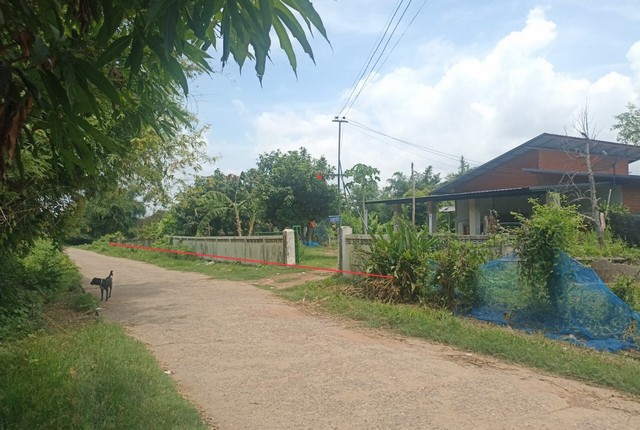 รายละเอียดเพิ่มเติมCode ID :    PKK02-15718ราคาขาย        2,349,000 บาท- ขนาดพื้นที่ :  1,800 ตร.ว (4 ไร่ / 2 งาน)- พื้นที่ใช้สอย :   198.25 ตร.ม- จำนวนห้อง :   4 ห้องนอน 1 ห้องน้ำ - จอดรถ :         1-2 คัน- บ้านครึ่งตึกครึ่งไม้ :    2 ชั้น- บ้านครึ่งตึกครึ่งไม้หันทางทิศ :- อายุอาคาร :   23 ปีพิกัดทรัพย์ :   https://maps.app.goo.gl/RXugEtVjskjdUezX8สถานที่ใกล้เคียง- ใกล้ซีเจ มอร์ สาขากันทรวิชัย- ใกล้โลตัส โกเฟรช ยางตลาด- ใกล้โลตัส โกเฟรช ยางตลาด กาฬสินธุ์- ใก