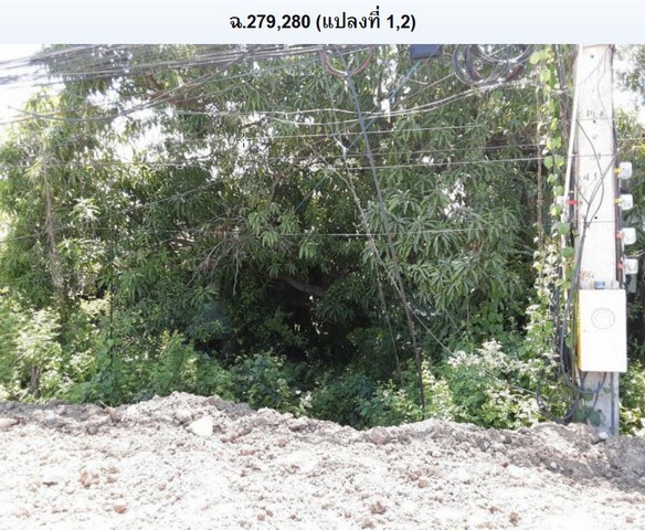 ขายที่ดินเปล่าใจกลางเมืองติดแยกบูรพา อำเภอเมือง จังหวัดเพชรบูรณ์