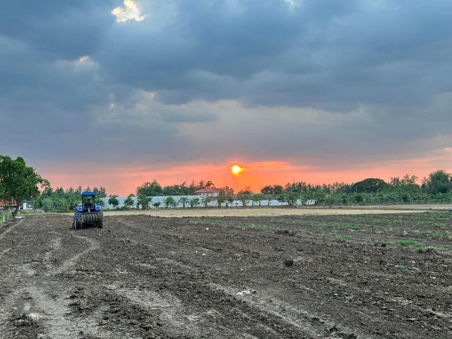 ขายที่ดินแบ่งล็อค ต.คู้สลอด อ.ลาดบัวหลวง จ.อยุธยา  เริ่มต้น 700,000 ต่อ 1ไร่