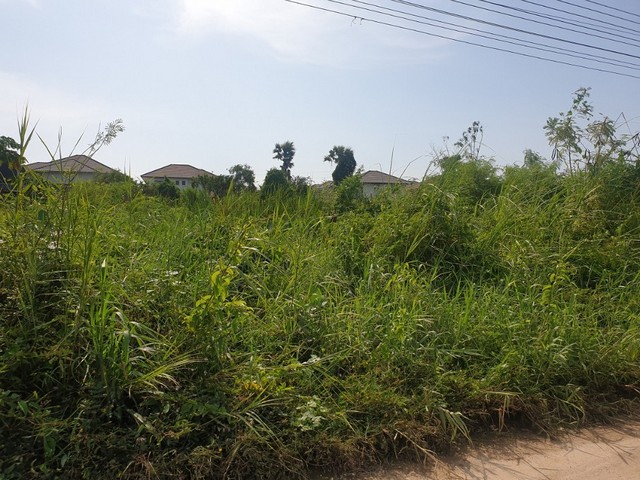 ขายที่ดินแปลงงาม     :                       ชลบุรี