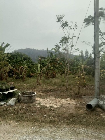 ขายที่ดินถมแล้ว ที่ตั้ง :  ตำบล ชำผักแม้ว  อำเภอ แก่งคอย จังหวัด สระบุ