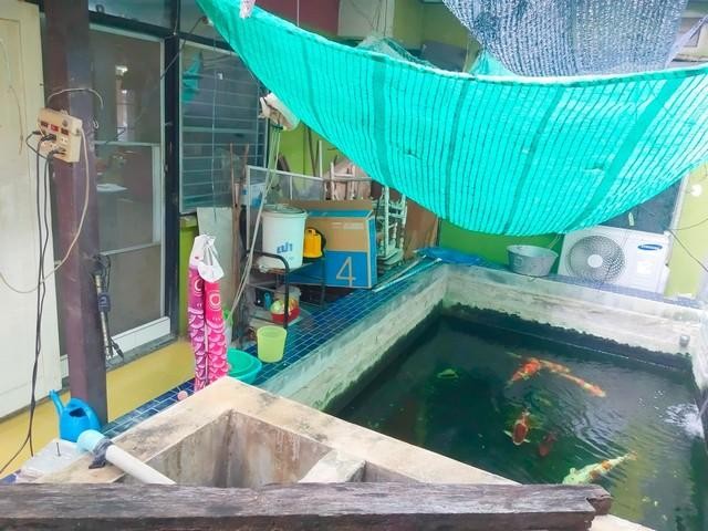 PT12 ขาย บ้านเดี่ยว หมู่บ้านเสรี 2 รามคำแหง 24 พระรามเก้าซอย 41 ใกล้เดอะไนท์พระราม9 เหมาะซื้อสร้างบ้าน หัวหมาก เขตบางกะปิ ราคาขาย 17,000,000 บาทติดต่อ คุณช่อผกา 0616198565 LINE 0616198565บ้านเดี่ยว 2 หมู่บ้านเสรี 2 รามคำแหง 24 พระรามเก้าซอย 41 ใกล้เดอะไนท์พระราม9เนื้อที่ 82 ตารางวา 4 ห้องนอน 3 ห้องน้ำ1 ห้องครัว 1 ห้องรับแขก 1 ห้องทานข้าว 1 ห้องแม่บ้าน มีบ่อปลาคาร์ฟด้วยใกล้เดอะไนท์พระราม9ใกล้ทางด่ว