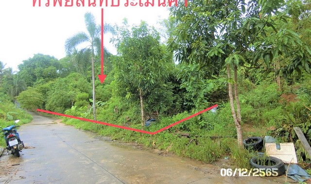 ขายที่ดินว่างเปล่าใกล้ โลตัส โกเฟรช สาขาตลาดศรีฟ้า อำเภอเกาะสมุย จังหวัดสุราษฎร์ธานี PKK01-11511