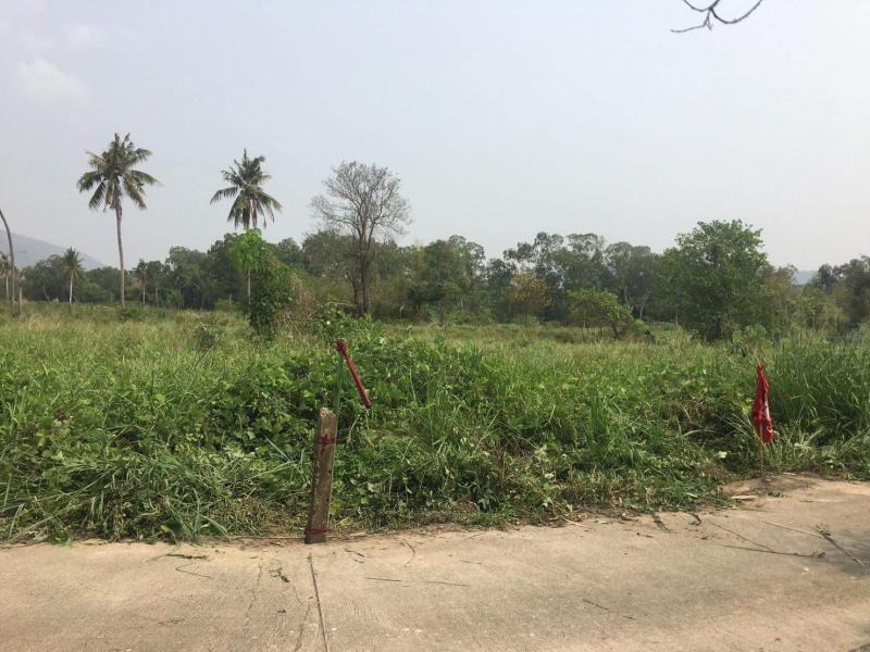 List : M5664 ขายที่ดินแปลงสวย ขนาดพื้นที่ 1 ไร่  รูปสี่เหลี่ยมผืนผ้าแนวยาวด้านหน้าติดถนนคอนกรีต เข้าออกได้หลายทางด้านหลังแปลงที่ดินเห็นวิวภูเขาที่ดินอยู่ใกล้แหล่งชุมชน การเดินทางสะดวก สภาพแวดล้อมดีห่างจากโรบินสันไลฟ์สไตล์ บ่อวิน 12 นาทีเหมาะกับทำโครงการบ้านจัดสรรขนาดเล็ก,รีสอร์ท,บ้านพักอาศัย ****   ราคายกแปลง 3,500,000 บาท *** สนใจสอบถามเพิ่มเติม นัดดูสถานที่ติดต่อ : ค�