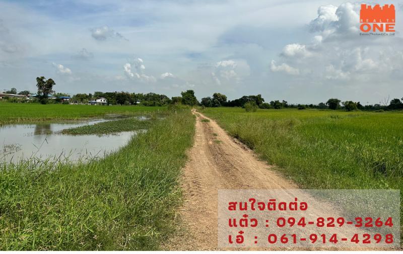 ที่ดินเปล่า แปลงสวย ใกล้ถนนตัดใหม่ อ.นครหลวง อยุธยา ขายด่วน