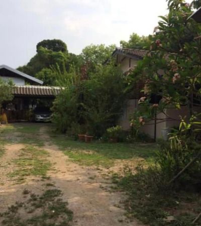 ติดต่อ เต้ย 086-659-5965 Line ID: Creatoeyขาย ที่ดินติดถนน แถวเจ็ดยอด ทำเลสวยยย ขายถูกๆ ใกล้ห้างเมญ่า เพียง 5 นาทีขนาดที่ดิน 1ไร่ 10 ตารางวาราคา 35 ล้านบาท.สถานที่ใกล้เคียง- ห้างเมญ่า 5 นาที- วัเเจ็ดยอด 5 นาที- ถนนนิมมานเหมินท์ 10 นาที- ม.เชียงใหม่ 10 นาที- รพ.ลานนา 10 นาที- สนามบินเชียงใหม่ 19 นาที.ติดต่อเต้ย 086-659-5965 Line ID: Creatoeyเพิ่มเพื่อนไลน์อัตโนมัติ คลิกLine link: https://line.me/ti/p/FzYuwtN1KZแล็ค 089-154-1870 Line ID: Lakazineเพิ่มเพื่อนไลน