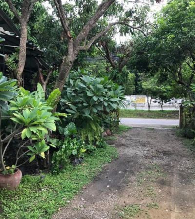 ที่ดินติดถนน แถวเจ็ดยอด ทำเลสวยยย  ขายถูกๆ ใกล้ห้างเมญ่า เพียง 5 นาที