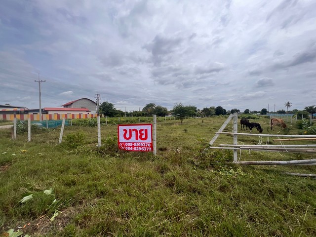 ขายที่ดินแปลงสวย 1 ไร่ 1 งาน แถวนครปฐม ใกล้กรุงเทพ ติดถนนสาธารณะ ทำเลดีเดินทางสะดวก เจ้าของขายเองราคา 2.9 ล้านบาทเนื้อที่ 1 ไร่ 1 งาน (500 ตร.วา) ที่ตั้ง ตำบล หนองงูเหลือม อำเภอเมืองนครปฐม นครปฐมพิกัด https://maps.app.goo.gl/oi2FTR2RLWGnzCfv6?g_st=ic- ติดถนน2ด้าน- ที่เสมอถนน ล้อมรั้วลวดหนามแล้ว- โฉนดที่ดินพร้อมโอนสถานที่ใกล้เคียง- ใกล้เซ็นทรัลนคปฐม 18 กม.- ใกล้วัดรางหมัน 17 กม.- ใกล้รพ.สินแพทย์นครปฐม 17 กม.