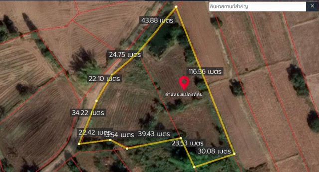 ขายที่ดินทุ่งนา 4ไร่ 1.6ล้านบาท ถนนดิน ไฟฟ้าประปา 1 กม. ต.บุ่งคล้า อ.เมือง ชัยภูมิ