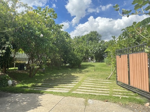 ขายหรือให้เช่าที่ดินร่มรื่นพร้อมบ้านไม้ในสวน พื้นที่กว้าง หมู่บ้านศุภาลัย ออร์คิด ปาร์ค วัชรพลขาย 17,500,000 บาท หรือ เช่า 50,000 บาทต่อเดือนรายละเอียดบ้านสวน ร่มรื่นมาก ขนาดที่ดิน 269.4 ตารางวาอยู่ในหมู่บ้านศุภาลัย ออร์คิด ปาร์ค วัชรพลพร้อมบ้านไม้ 1 ชั้น 2 ห้องนอน 1 ห้องน้ำ แอร์ 2 เครื่องบ้านไม้มีพื้นที่ใช้สอย 25 ตารางเมตร ไม่รวมชานระเบียง (สามารถรื้อบ้านไม้ออกได้หากต้