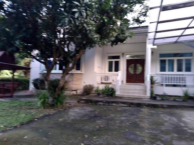 ให้เช่าบ้านเดี่ยวชั้นเดียว 200 ตรว. 3 ห้องนอน หมู่บ้านนวธานี เสรีไทย59 เดินทางสะดวก ใกล้มอเตอร์เวย์ เกษตรนวมินทร์