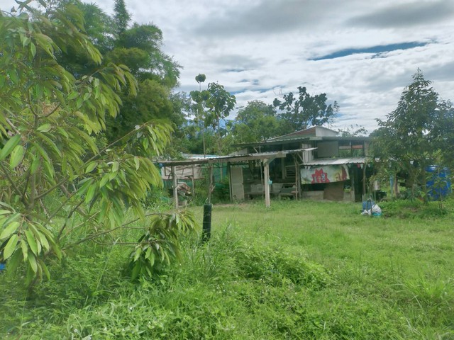 Vายสวนทุเรียน ในออร์ชาร์ดปาร์ครีสอร์ท 1 ไร่กว่าๆ เพียง 1.75 ล้านเท่านั้น