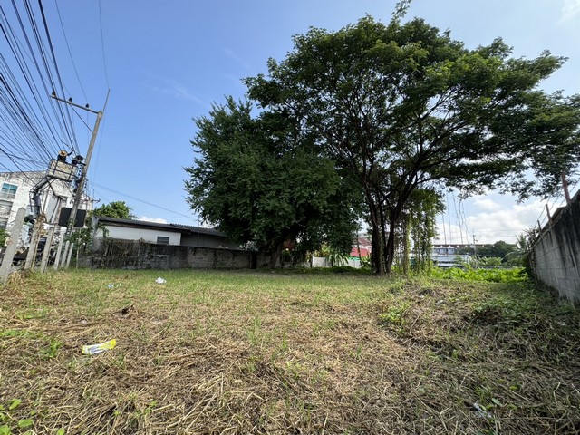 ขายที่ดิน 335ตรว. หน้ากว้าง ถมแล้ว น้ำ-ไฟ ครบ หน้าม.แม่โจ้ อ.สันทราย จ.เชียงใหม่.‼️ ขายเพียง 8.5 ล้านบาท ‼️.จุดเด่น1.เป็นแปลงเล็กและแปลงเดียวในย่านนี้ที่มีขนาด335ตรว. แปลงอื่น 1 ไร่ขึ้นไป(ต้องใช้เงินเป็นสิบล้าน)2. ที่ดินทรงสี่เหลี่ยมสวย หน้ากว้าง3. ติดถนนสาธารณะ ลาดยาง กว้าง8 เมตร4. น้ำ-ไฟ ถมดิน มีครบหมดแล้ว ไม่ต้องทำเอง และนำไปใช้ประโยชน์ได้ทันที5.อยู่ในชุมชน ใกล้มหาวิ