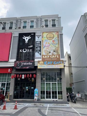 BS724 ขายอาคาร 4.5 ชั้น โครงการเดอะมาสเตอร์ @บีทีเอส อุดมสุข เหมาะหลากหลายธุรกิจ contact : คุณบัว Bua Agent 0936464597, 0826914598Line : Bua093ราคา : 22,500,000 บาท BS724 ขายอาคารเดอะมาสเตอร์ @บีทีเอส อุดมสุข (The master @BTS Udomsuk) สูง : 4.5 ชั้น เนื้อที่ : 16.5 ตารางวา พื้นที่ใช้สอย : 233.00 ตารางเมตร หันหน้าทิศเหนือ กว้าง : 4.00 เมตร ลึก : 12.00 เมตร ห้องนอน : 5 ห้อง ห้องน้ำ : 4 ห้อง ห้องอื่นๆ : ชั้นลอย, ระเบียง, หลังบ้าน จอดรถได้ : 2 คัน หน้าตึก (มีจอดเพิ่�